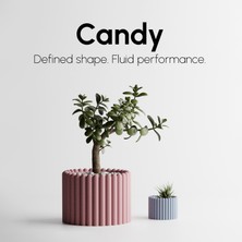 Candy Saksı