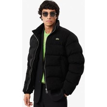 Lacoste Relaxed Fit Synthetic Fill Mens Jacket Erkek Dik Yaka Rahat Kesim Fitilli Mont Siyah