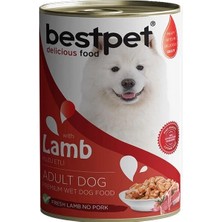 Üreticiniz Ashwork Bestpet Kuzulu Gravy Yetişkin Köpek Konservesi 1 Adet 400 gr 587455