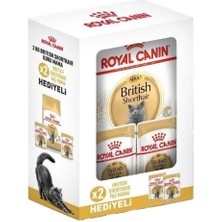 Üreticiniz Ashwork Royal Canin British Shorthair Adult Yetişkin Kedi Maması 2 kg + 2 Konserve Hediyeli 587455