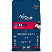 Üreticiniz Ashwork Felicia Düşük Tahıllı Hipoalerjenik Kuzu Etli Orta ve Büyük Irk Yetişkin Köpek Mama