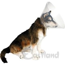 Ashwork Eastland Köpek Kedi ve Köpek Elizabeth Yakalığı 20 cm 587455