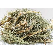 Epilons Kırkkilit - At Kuyruğu Otu 100 gr Paket