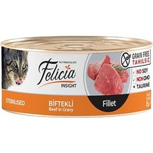 Üreticiniz Ashwork Felicia Tahılsız Biftekli Fileto Kısırlaştırılmış Konserve Kedi Maması 1 Adet 85 G