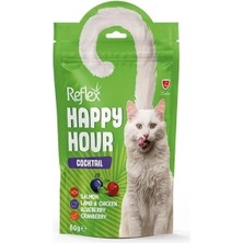 Ashwork Reflex Happy Hour Cocktail Somonlu Kuzu Etli ve Tavuk Etli Kedi Ödülü 1 Adet 60 gr 587455