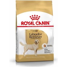 Üreticiniz Ashwork Royal Canin Labrador Retriever Yetişkin Köpek Maması 12 kg 587455