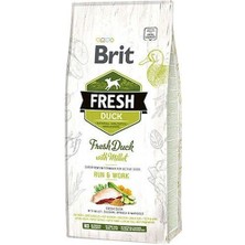 Ashwork Brit Fresh Ördek Etli ve Darılı Yetişkin Köpek Maması 12 kg 587455