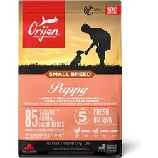 Üreticiniz Ashwork Orijen Puppy Small Breed Tavuk Somon ve Hindi Etli Küçük Irk Yavru Köpek Maması 1.8 kg