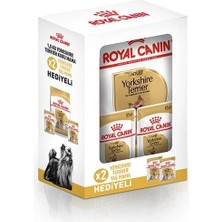 Üreticiniz Ashwork Royal Canin Yorkshire Terrier Adult Yetişkin Köpek Maması 1.5 kg 2 Pouch Hediye 587455