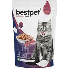 Üreticiniz Ashwork Bestpet Kuzu Etli Yetişkin Konserve Kedi Maması 1 Adet 85 gr 587455