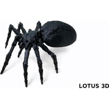 Lotus 3D Örümcek Oyuncak Figür