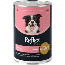 Ashwork Reflex Plus Sos Içinde Somonlu Yetişkin Konserve Köpek Maması 1 Adet 400 gr 587455