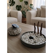 abnturk Beyaz Orjinal Deniz Taşları 110 Adet Dekoratif ve Modern Ambiyanslar Tasarlamak Için