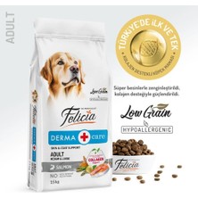 Üreticiniz Ashwork Felicia Düşük Tahıllı Hipoalerjenik Somonlu Orta ve Büyük Irk Yetişkin Köpek Mamas�