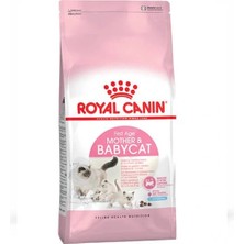 Üreticiniz Ashwork Royal Canin Mother Babycat Anne ve Yavru Kedi Maması 4 kg 587455