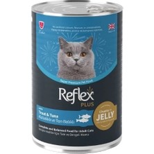 Ashwork Reflex Plus Jöle Içinde Alabalıklı ve Ton Balıklı Yetişkin Konserve Kedi Maması 1 A