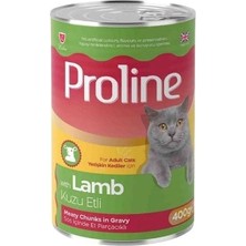 Üreticiniz Ashwork Proline Sos Içinde Et Parçacıklı Kuzu Etli Yetişkin Konserve Kedi Maması 1 Adet 400 G