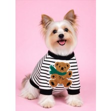 Köpek Ablası Köpekelbise