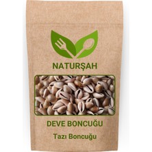 Naturşah Deve Boncuğu / Tazı Boncuğu 1 kg