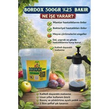 Bakırlı %25 Gübre Tozu 500GR Kullanıma Hazır Mavi Bordo Bulamacı/2lt Gübreleme Pompası