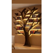 Hikioe Ottoman Asırlık Çınar Ağacı Kitaplık