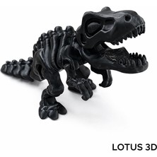 Lotus 3D Dinazor Iskeleti Oyuncak Figür