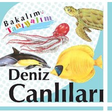 Binbir Göz Kitap Bakalım Tanıyalım Deniz Canlıları (Ciltli)