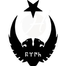 Mlh Store Ay Yıldız Kartal Göktürkçe Türk Oto Özel Yeni Sticker 25 x 32 cm