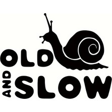 Mlh Store Old And Slow Arka Cam Sticker 16 x 12 cm