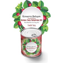 Buradabuldun® Konserve Bahçem Evde Konservede Fındık Turp Yetiştirme Kiti