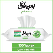 12 Adet Sleepy Pine Yüzey Temizlik Havlusu Çam Ferahlığı 100 Lü