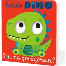 Binbir Göz Kitap Küçük Dino Sen Ne Görüyorsun?