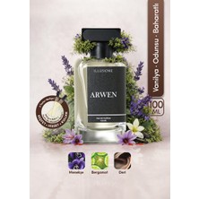 ILLUSIONE Arwen EDP Erkek Parfüm 100ml | Vanilya-Odunsu-Baharatlı | Lavanta, Safran, Amber, Paçuli