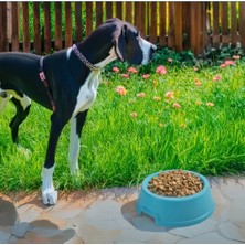 Fırsatkolik Mikopet Büyük Irklar Için Dayanıklı 2.5 Litre Mama Kabı