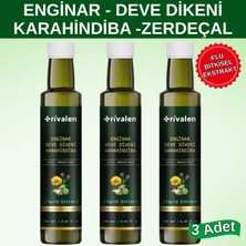 Rivalen Enginar - Deve Dikeni - Karahindiba Bitkisel Sıvı Ekstresi 250 ml x 3 Adet
