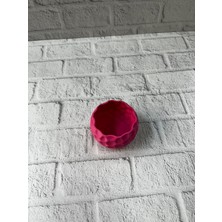 Mini Saksı Mor - Lisinya