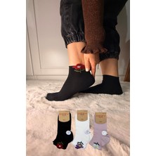 Ozzy Socks 3 Çift Kadın Taş Detaylı Dikişsiz & Takviyeli Patik Çorap