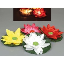 Nilüfer Su Feneri - Lisinya