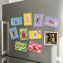 Kişiye Özel Evcil Hayvan Magneti – Fotoğraftan Özel Tasarım