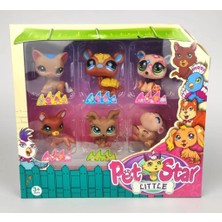 3046A2/3 - Pet Star 6 Lı Miniş Set Kutulu (Lisinya)