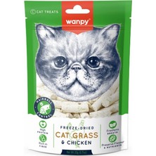 Braventa Collection Kedi Dondurulmuş Kedi Çimi ve Tavuklu Ödül 20G