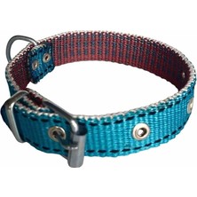 Braventa Collection Küçük Boy Köpek Tasması Mavi 40"