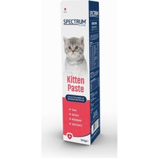 Braventa Collection Care Anne ve Yavru Kediler Için Multivitaminli Malt Paste 100 Gram