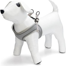 Braventa Collection Köpek Göğüs Tasması, Neopren, Yeşil, Xs, 30-35CM
