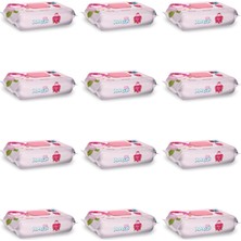 Braventa Collection Paddlers Gül Kokulu Islak Mendil 12X72 Li Koli (864 Yaprak)