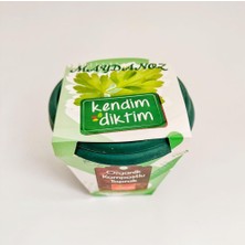 Braventa Collection Meraklı Bahçeci - Kendim Diktim Mini Saksıda Fidelik Dikim Seti - Maydanoz