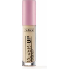 Braventa Collection Cover Up Concealer 02 Beige Göz Altı Kapatıcısı