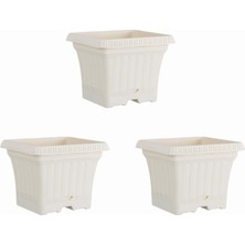 Braventa Collection Ova Balkon Saksı Tabaklı 3 Adet, Pastel Beyaz 2.2 Litreova Balkon Saksı Tabaklı