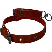 Braventa Collection Orta Boy Köpek Tasması Turuncu 50