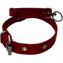 Braventa Collection Orta Boy Köpek Tasması- Kırmızı 50